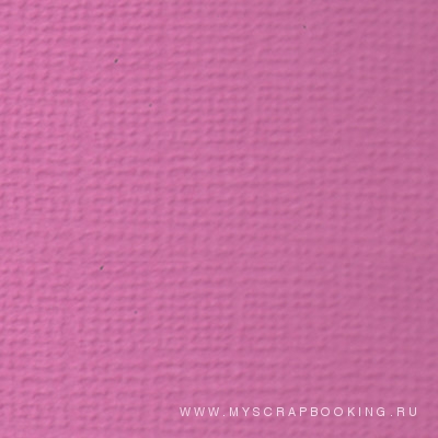   BUBLE GUM (), 30,5*30,5 , 216 /