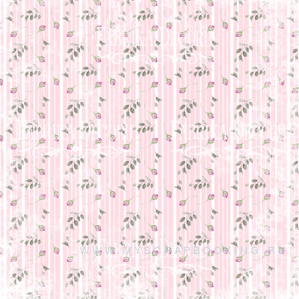     SHABBY GARDEN, 20*20 , 10 ,  + 