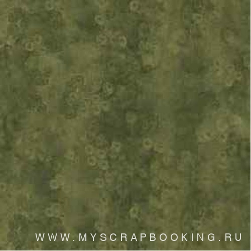      ANDOVER FABRICS, 50*55 , 100% , 5468DG