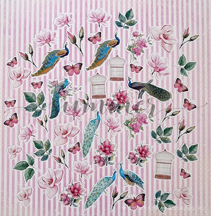     BIRD OF PARADISE, 30,5*30,5 , 11 