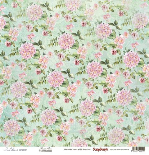     , 30,5x30,5 , 12 , Scrapberry`s