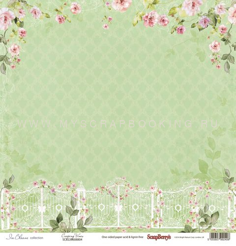     , 30,5x30,5 , 12 , Scrapberry`s