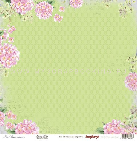     , 30,5x30,5 , 12 , Scrapberry`s