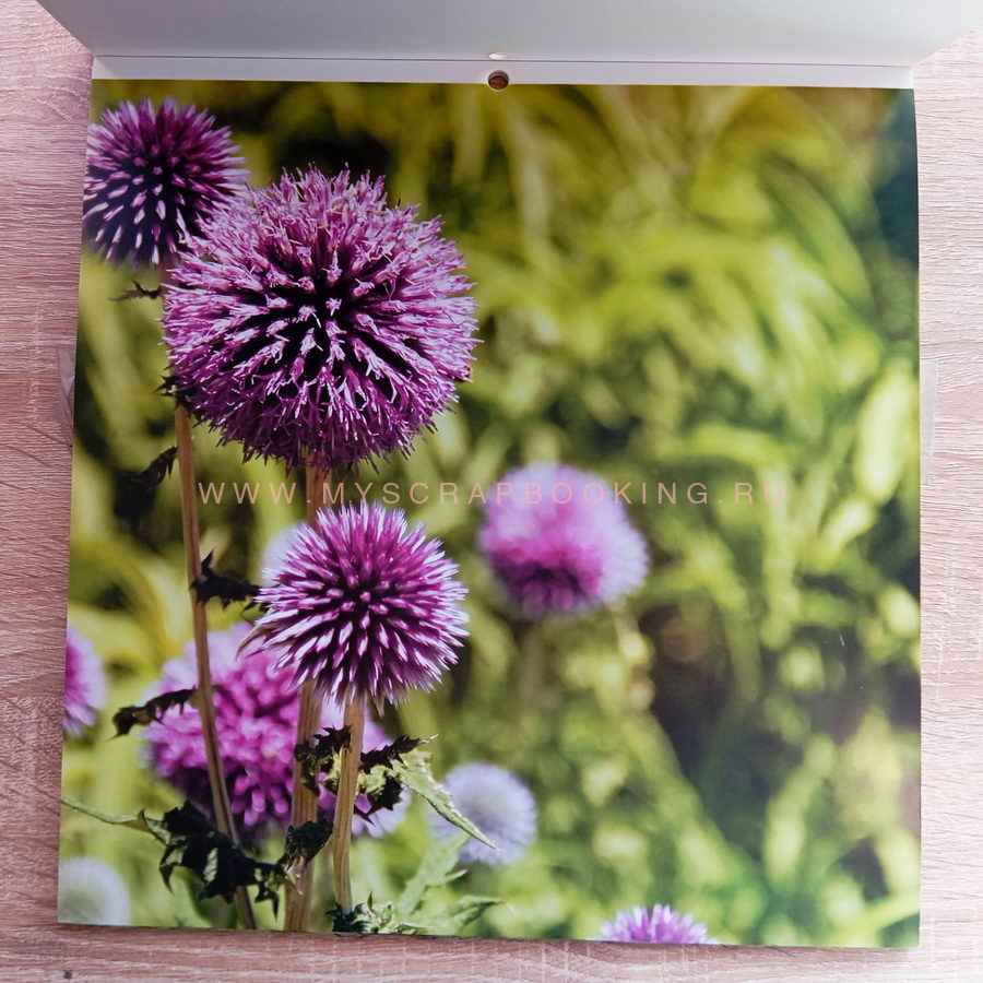    ORGANIC TEXTURES, 30.4x30.4 , 44 , DCWV