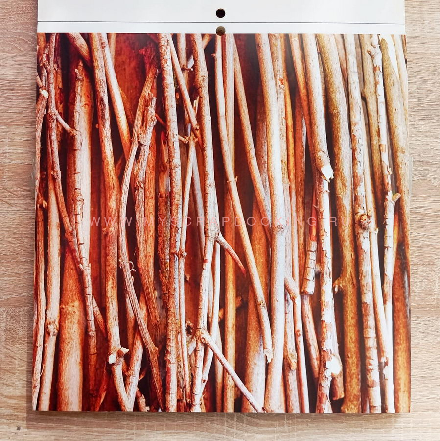    ORGANIC TEXTURES, 30.4x30.4 , 44 , DCWV