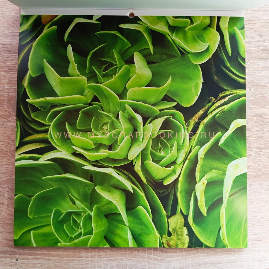    ORGANIC TEXTURES, 30.4x30.4 , 44 , DCWV