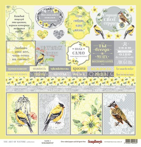     , 30,5x30,5 , 8 , Scrapberry`s