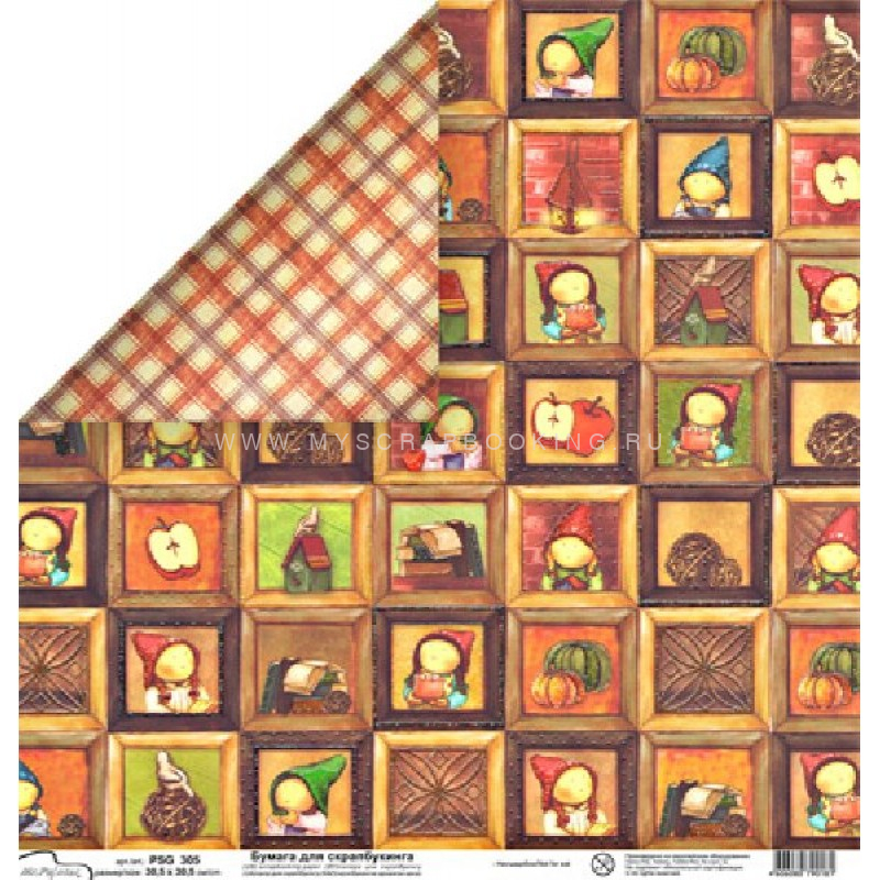      , 30,5*30,5 , , Mr.Painter