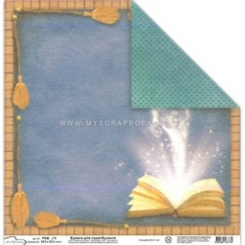    . , 30,5*30,5 , , Mr.Painter