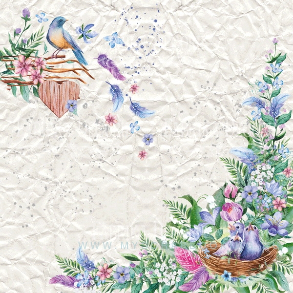     COLORFUL SPRING, 20*20 , 10 ,  + 