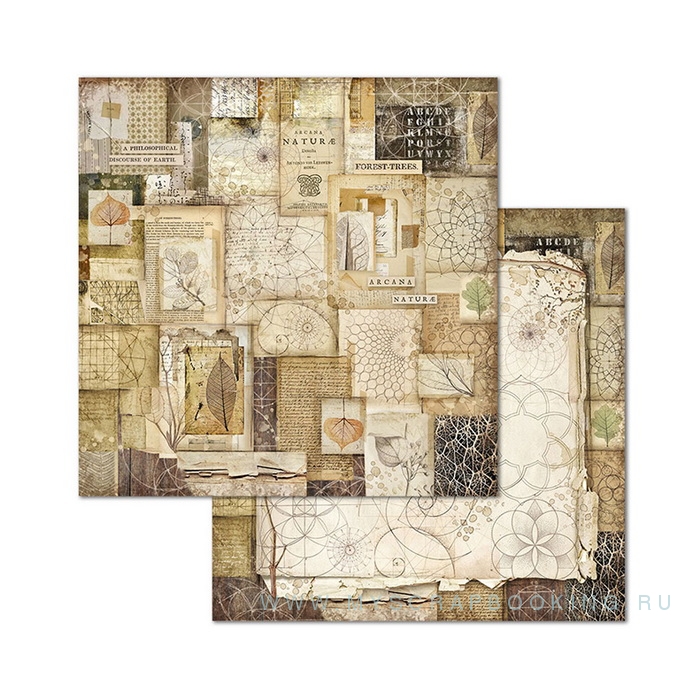      20,3*20,3 , 10     