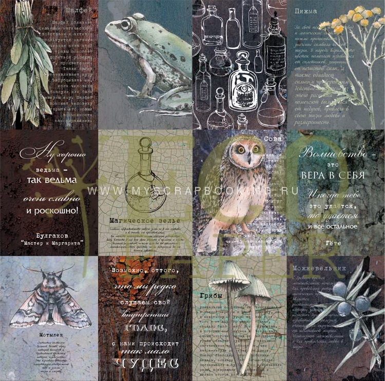     , 30,5x30,5 , 14  (12+2), Craft Paper