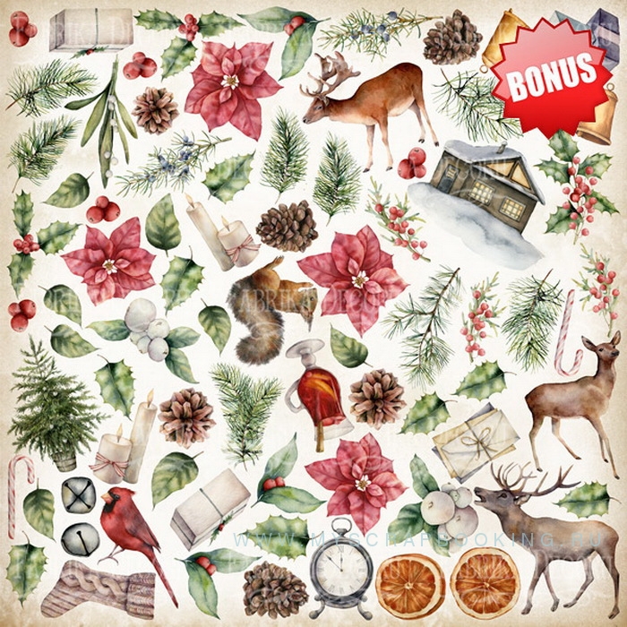     WINTER WONDERS, 30,5*30,5 , 10 ,  + 