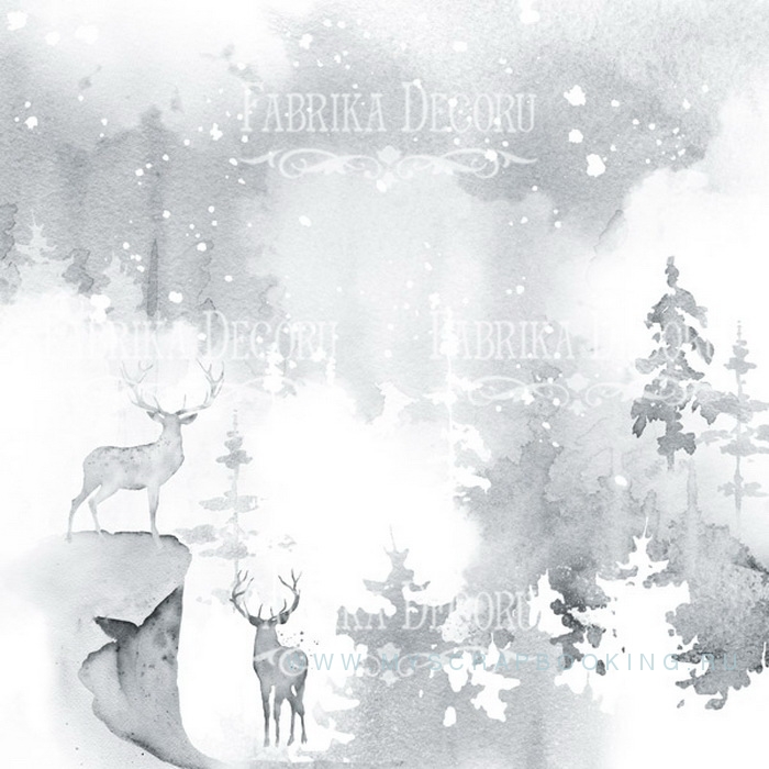     WINTER WONDERS, 30,5*30,5 , 10 ,  + 