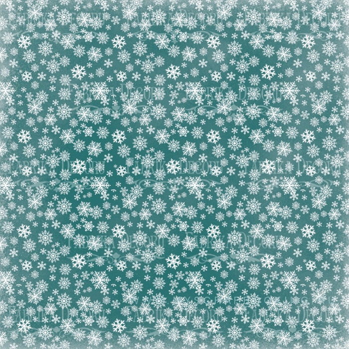     WINTER WONDERS, 30,5*30,5 , 10 ,  + 
