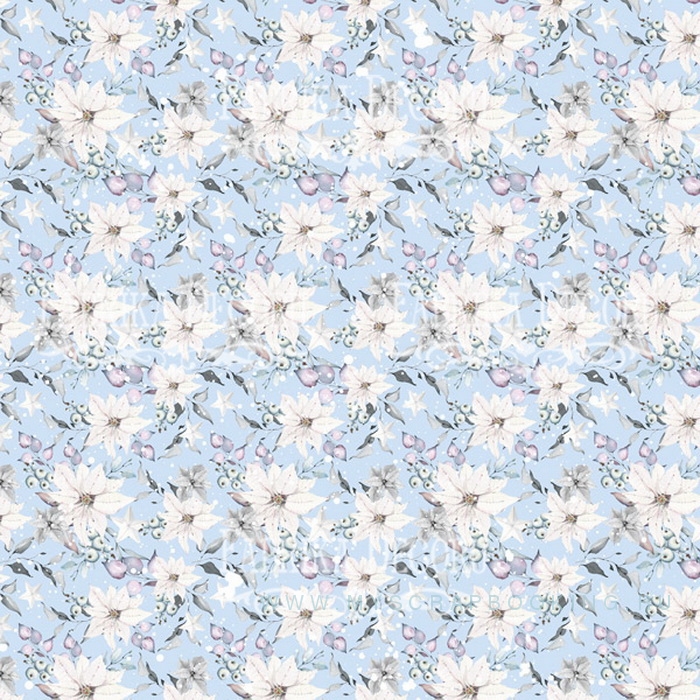     WINTER WONDERS, 30,5*30,5 , 10 ,  + 