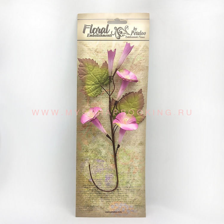    Trumpet Vine Spray, , Petaloo