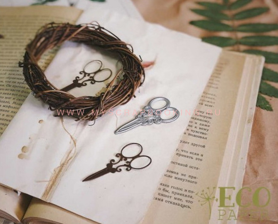     , 2557 , EcoPaper