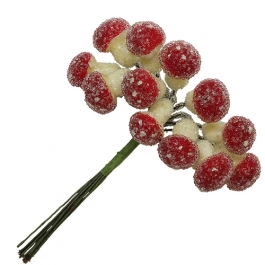      , , 12 