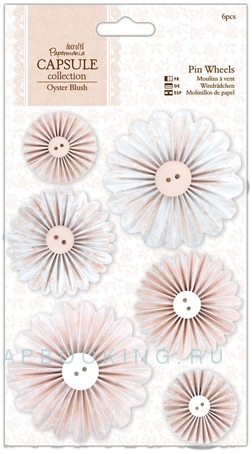  OYSTER BLUSH, 6 .
